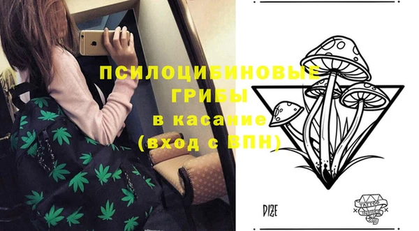 гашик Алексеевка