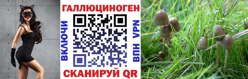 купить закладку  Камышлов  Псилоцибиновые грибы мухоморы 