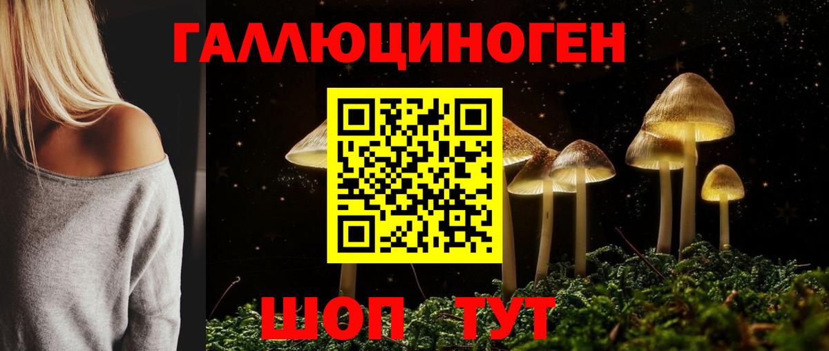Псилоцибиновые грибы Magic Shrooms  Вход с VPN  цены   Камышлов 