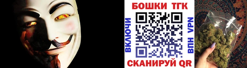 Конопля сатива  где продают   Камышлов 